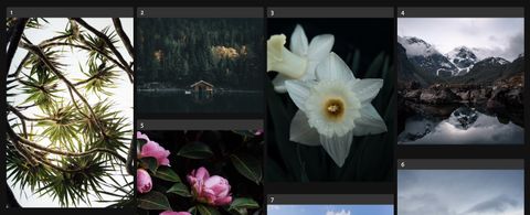 A gallery of numbered images in four columns