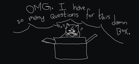 A cat sitting in a box
thinking OMG.
I have so many questions
for this damn box.